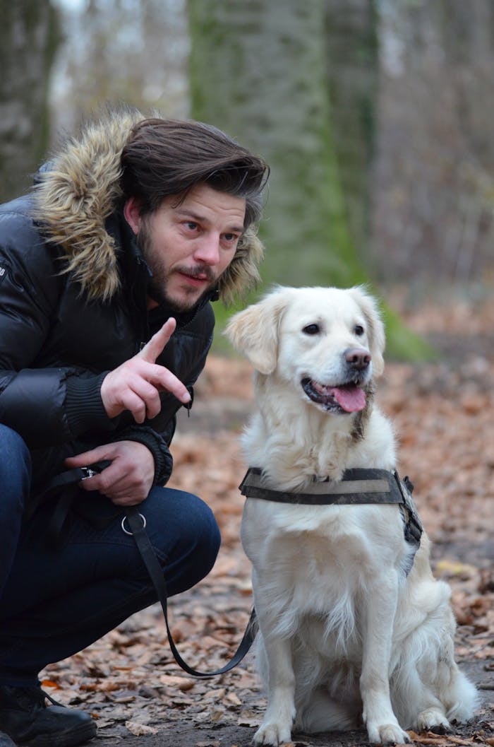 testimonials-img A man interacts with a Golden Retriever dog in a vibrant, autumn forest setting.