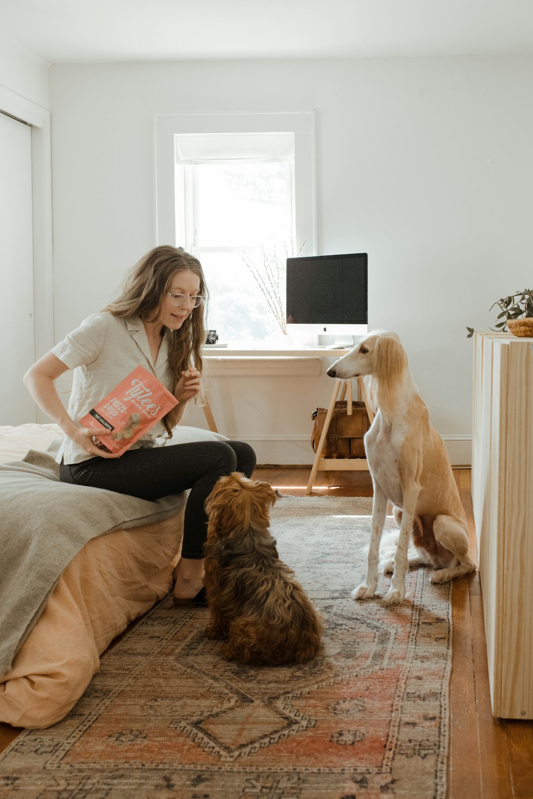 services-03 woman-in-gray-shirt-sitting-on-brown-couch-beside-brown-long-coated-dog-doticvv1ck4